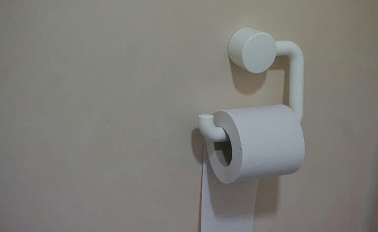 Poorly Positioned Toilet Paper
