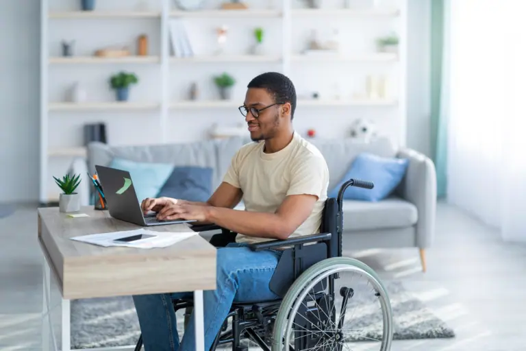 Website Accessibility Issues