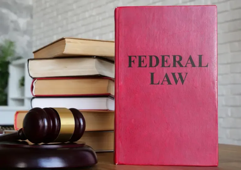 ADA Guidelines: Orange County Vs Federal