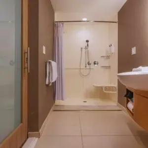 ADA-compliant bathroom with grab bars, roll-in shower, and fold-down seat for wheelchair accessibility in California design