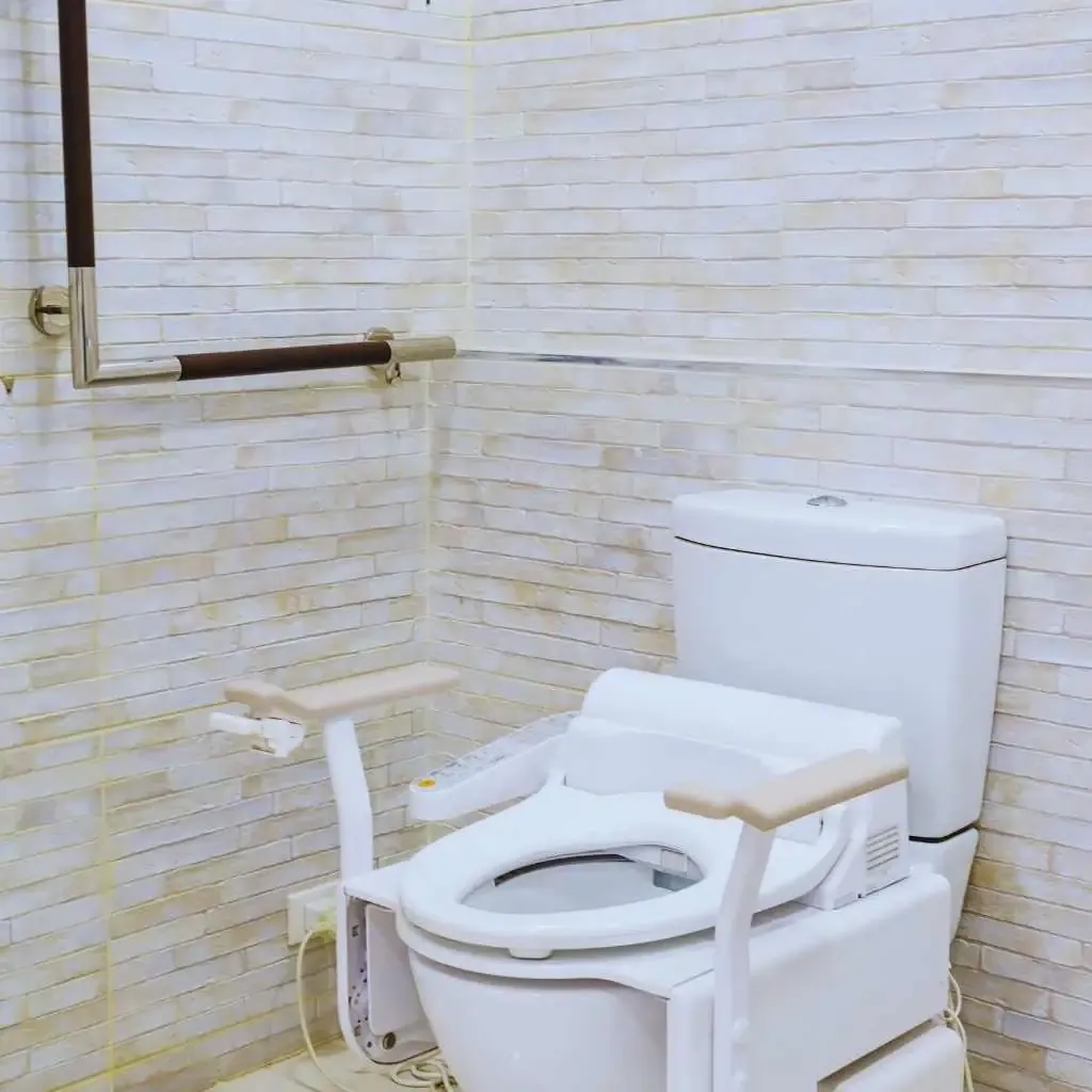 Toilet equipped with fold-down assistive rails and a horizontal grab bar mounted on the wall, demonstrating support features often added in bathrooms that need safer transfers for users with limited mobility.